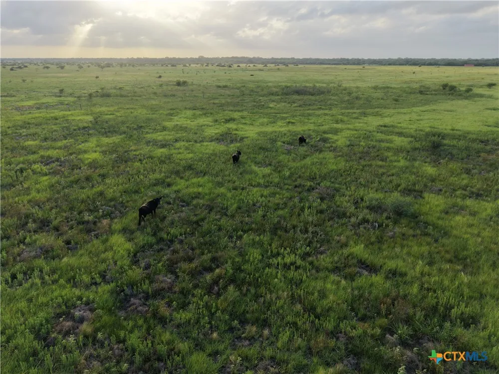 County Road 18 30.73 Acres Tract 2 Hallettsville, TX 77964