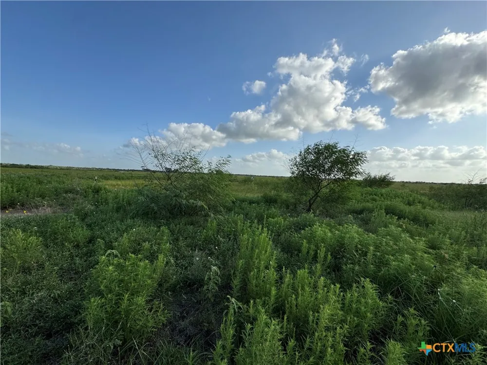 County Road 18 30.73 Acres Tract 2 Hallettsville, TX 77964