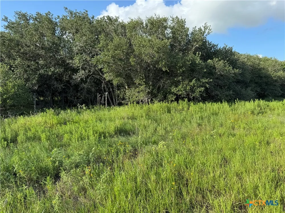 County Road 18 30.73 Acres Tract 2 Hallettsville, TX 77964
