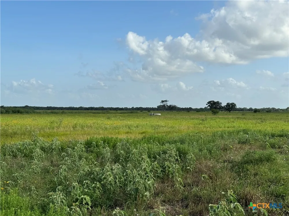 County Road 18 30.73 Acres Tract 2 Hallettsville, TX 77964