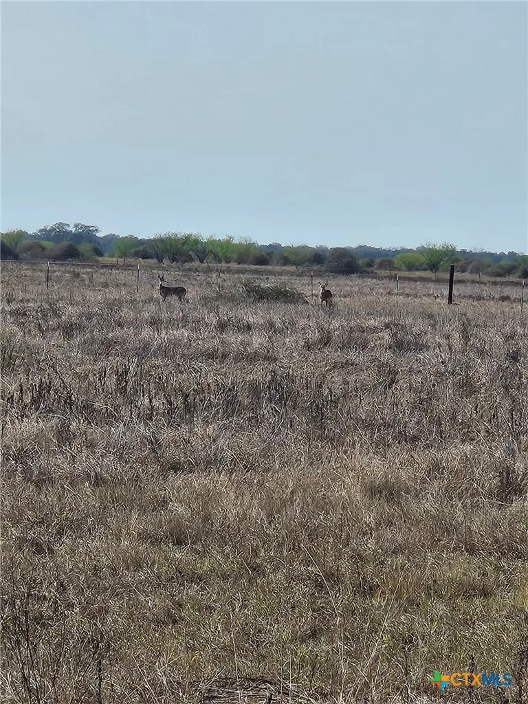 County Road 18 30.73 Acres Tract 3 Hallettsville, TX 77964