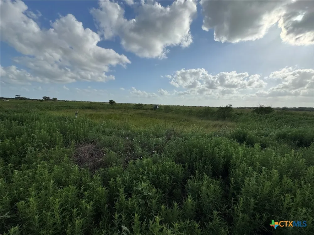 County Road 18 30.73 Acres Tract 3 Hallettsville, TX 77964