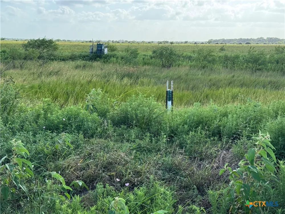 County Road 18 30.73 Acres Tract 3 Hallettsville, TX 77964