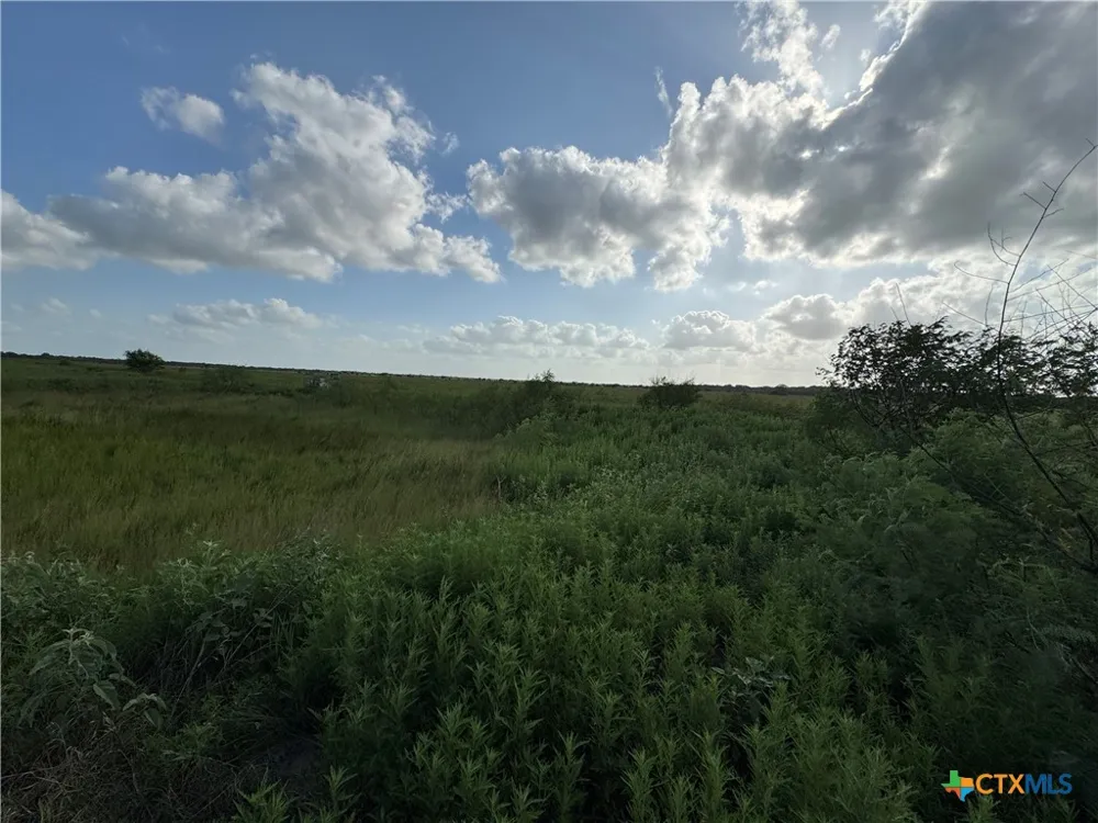 County Road 18 30.73 Acres Tract 3 Hallettsville, TX 77964