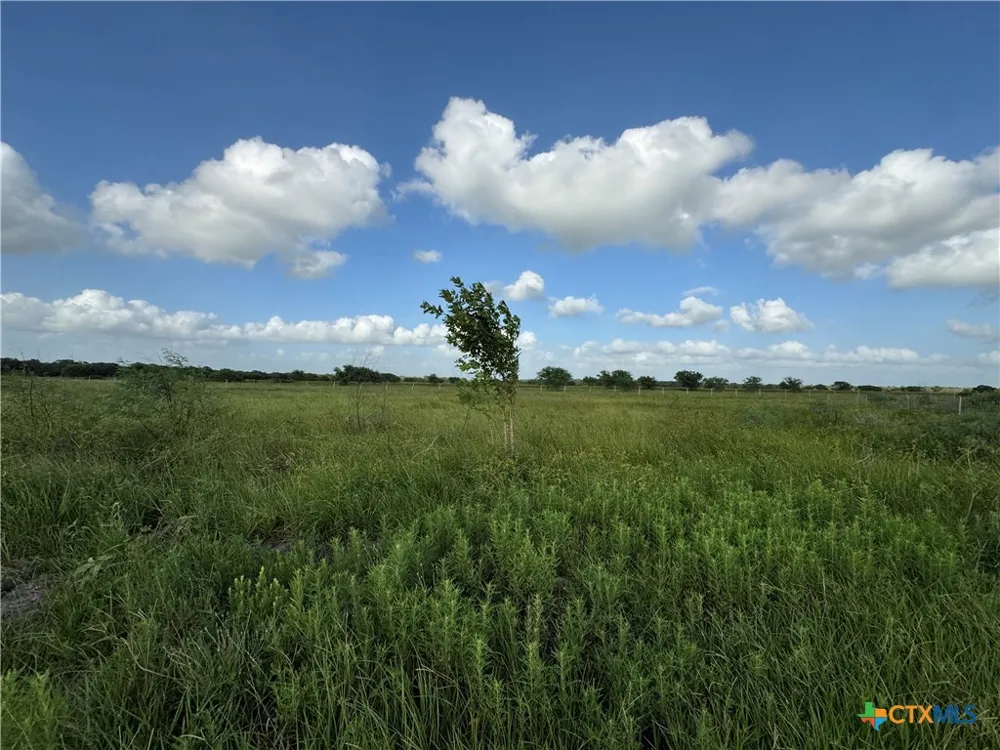 County Road 18 30.73 Acres Tract 3 Hallettsville, TX 77964