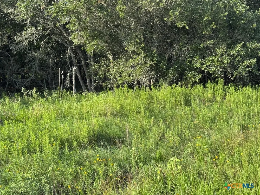 County Road 18 30.73 Acres Tract 3 Hallettsville, TX 77964