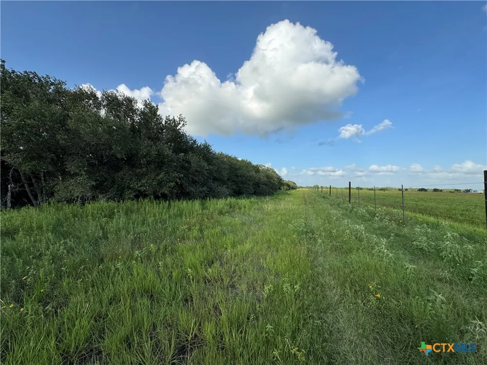 County Road 18 61.46 Acres Tract 2 & 3 Hallettsville, TX 77964