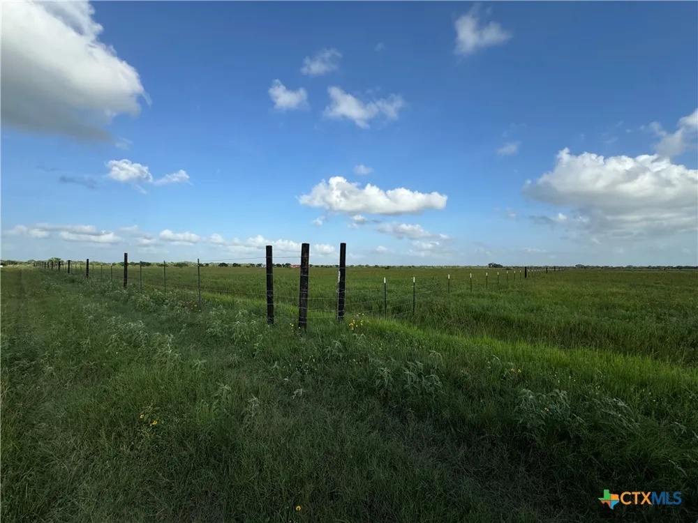 County Road 18 61.46 Acres Tract 2 & 3 Hallettsville, TX 77964