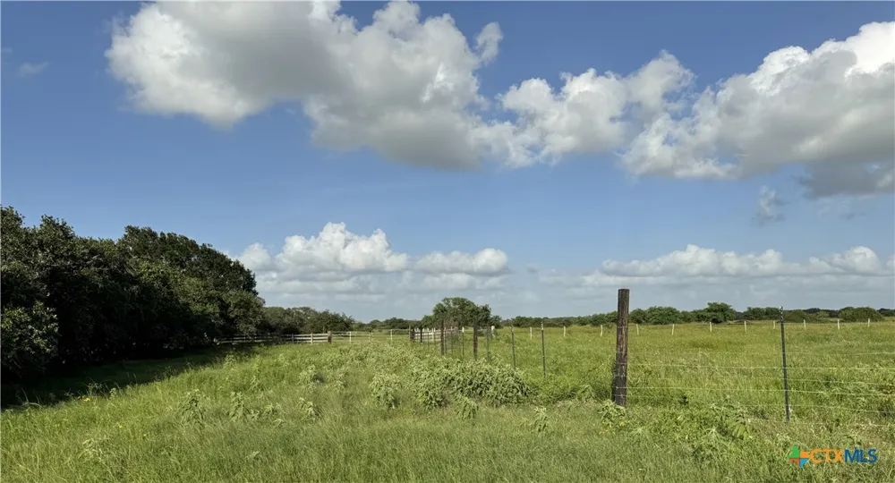 County Road 18 61.46 Acres Tract 2 & 3 Hallettsville, TX 77964
