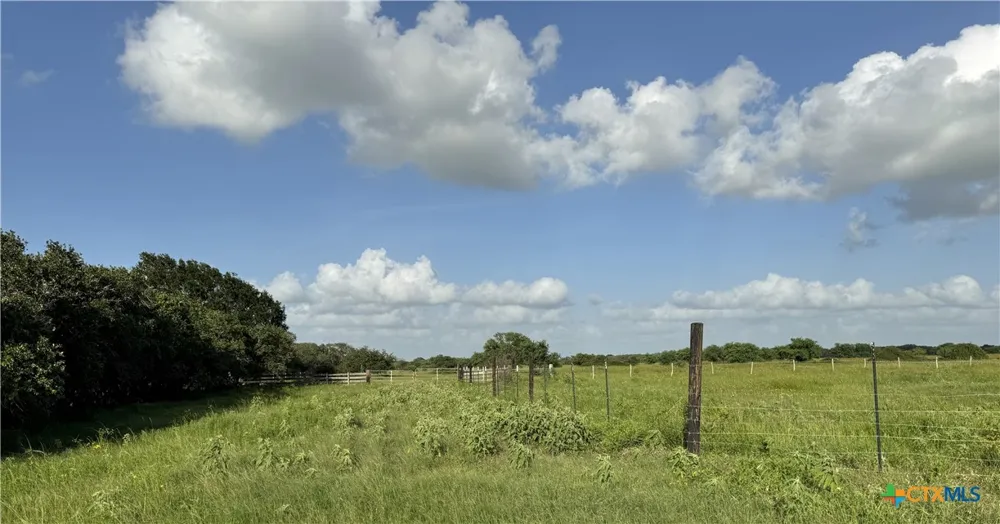 County Road 18 61.46 Acres Tract 2 & 3 Hallettsville, TX 77964