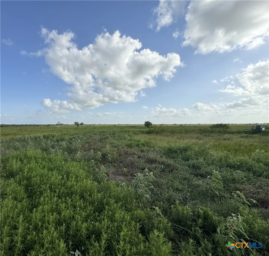 County Road 18 61.46 Acres Tract 2 & 3 Hallettsville, TX 77964