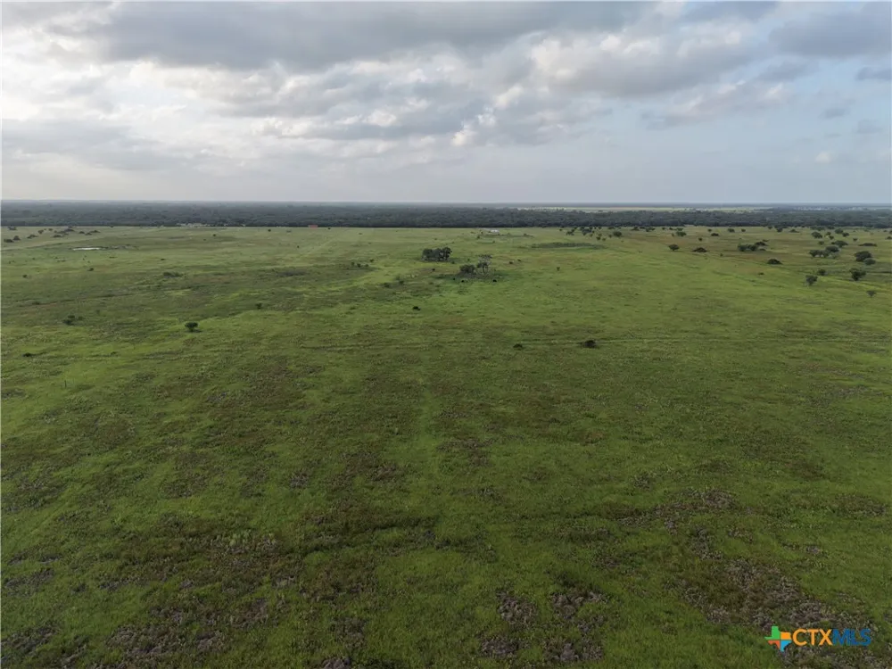 County Road 18 61.46 Acres Tract 2 & 3 Hallettsville, TX 77964