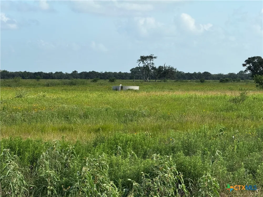 County Road 18 61.46 Acres Tract 2 & 3 Hallettsville, TX 77964
