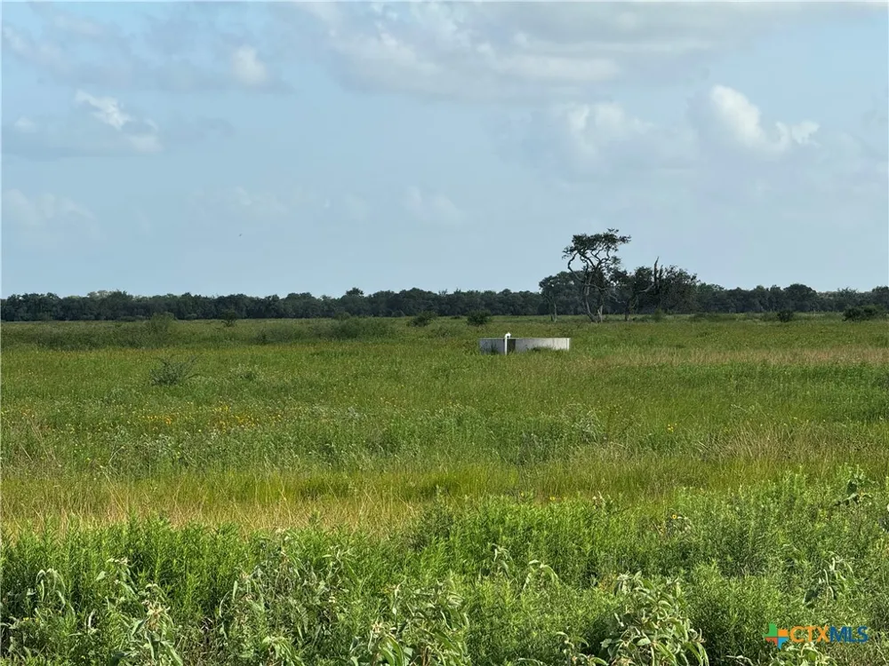 County Road 18 61.46 Acres Tract 2 & 3 Hallettsville, TX 77964