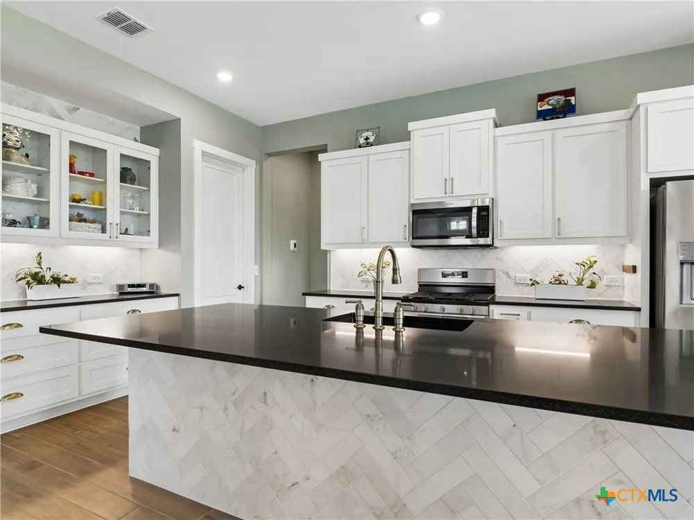 120 Wild Sage Cove San Marcos, TX 78666