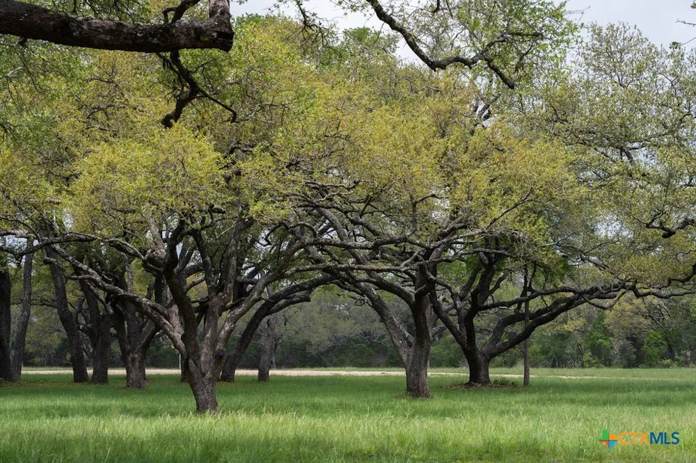 426 Mill Run New Braunfels, TX 78132