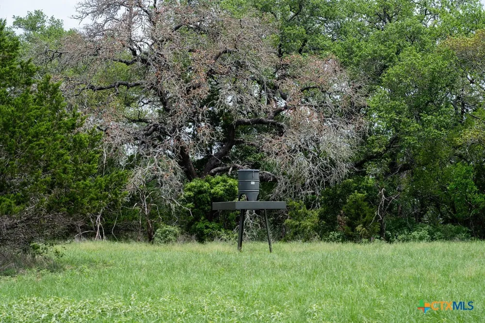 426 Mill Run New Braunfels, TX 78132