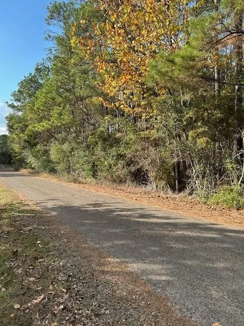 Cathey Lane