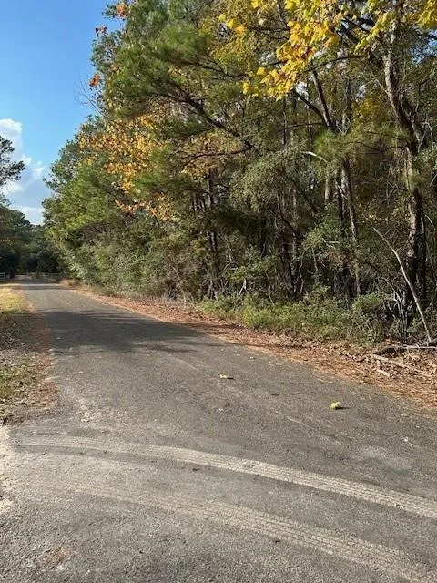 Cathey Lane Navasota, TX 77868