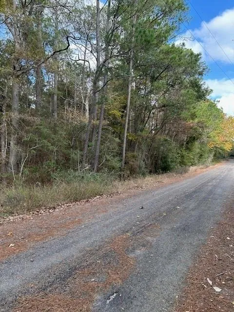 Cathey Lane Navasota, TX 77868