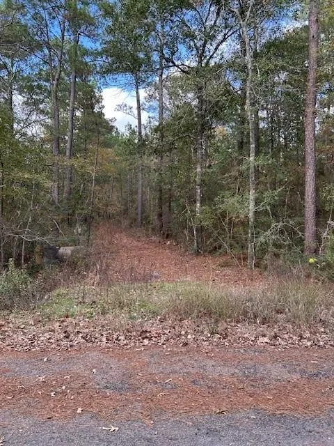 4807 Cathey Lane