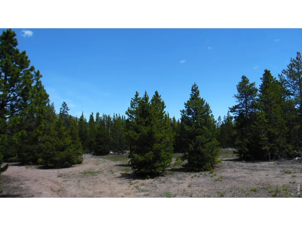350 Natchez Circle Red Feather Lakes, CO 80545