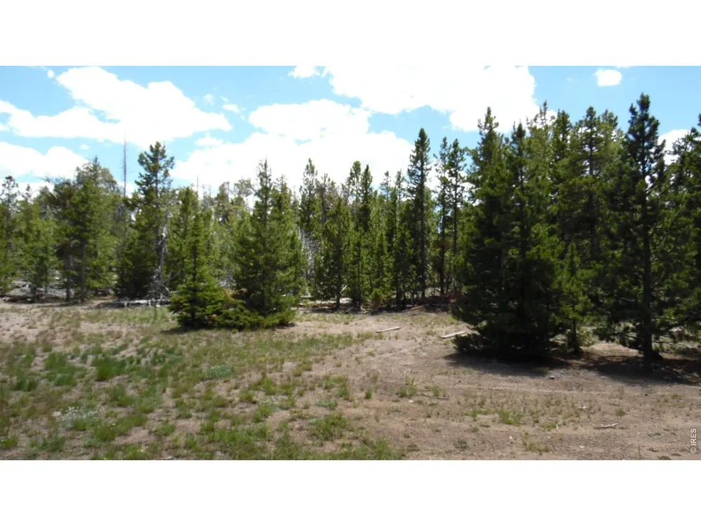 350 Natchez Circle Red Feather Lakes, CO 80545