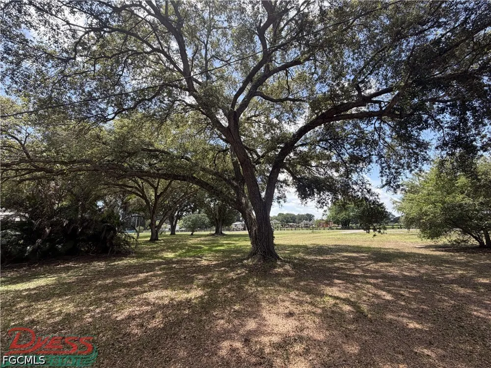 Pine Lane Clewiston, FL 33440