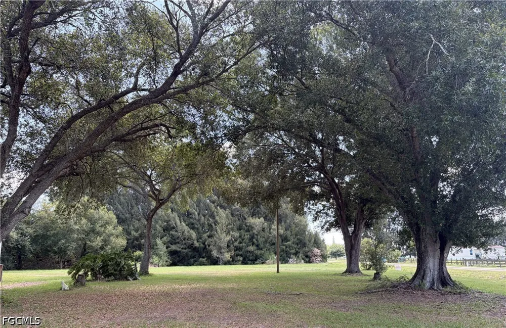 Pine Lane Clewiston, FL 33440