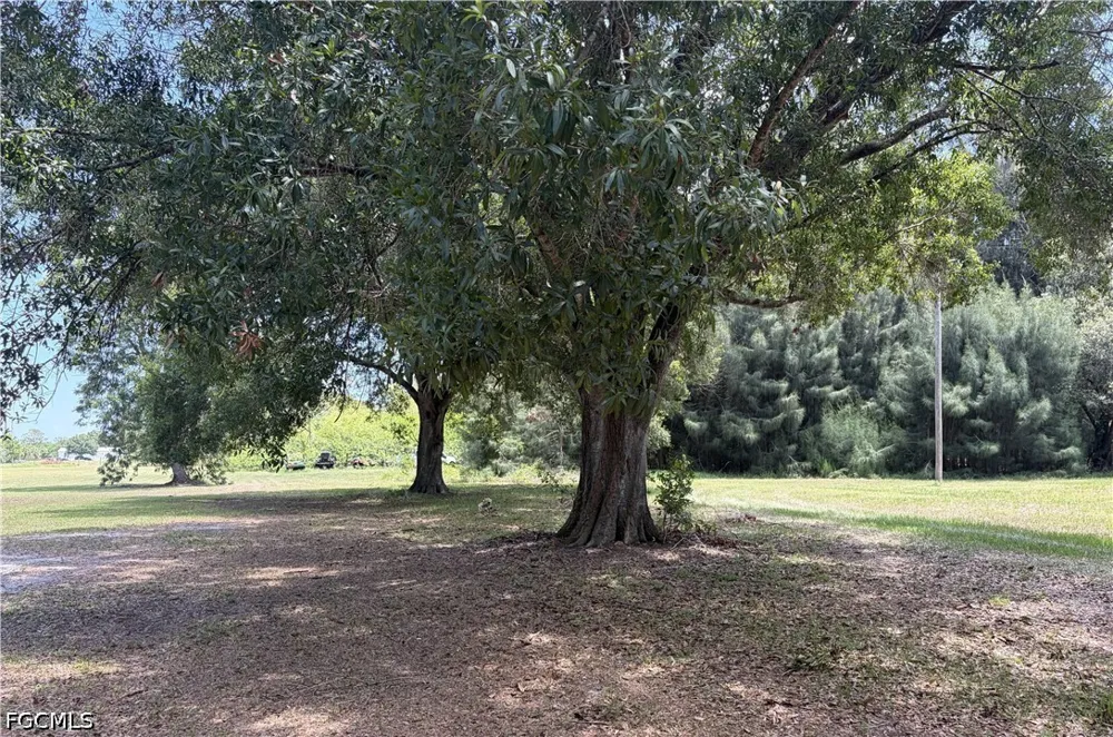 Pine Lane Clewiston, FL 33440