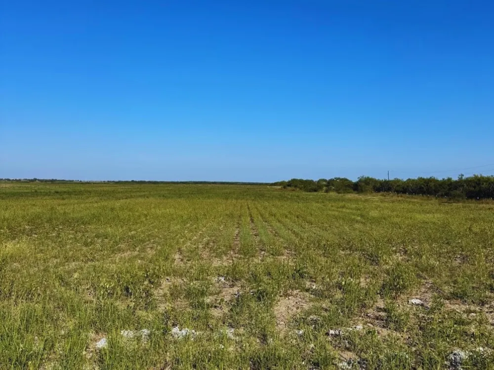 County Rd 1070 Kingsville, TX 78363