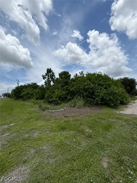 Connie Avenue S