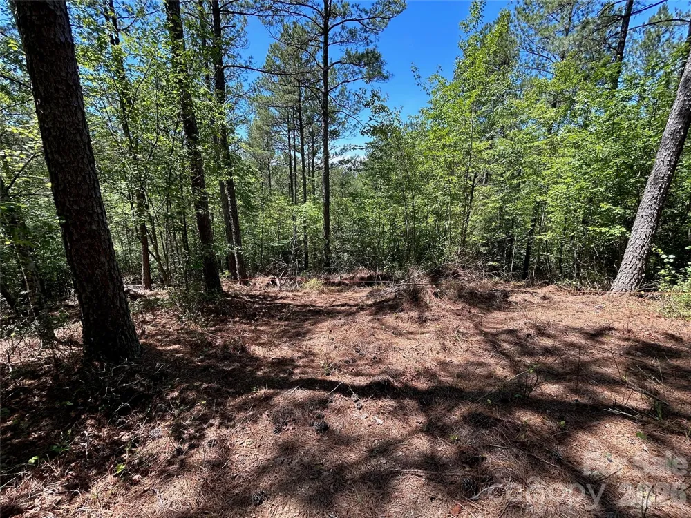 1175 HIDDEN COVE LANE Connelly Springs, NC 28612