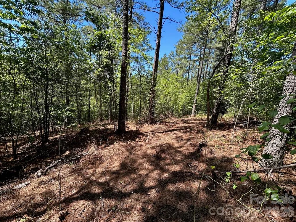 1175 HIDDEN COVE LANE Connelly Springs, NC 28612
