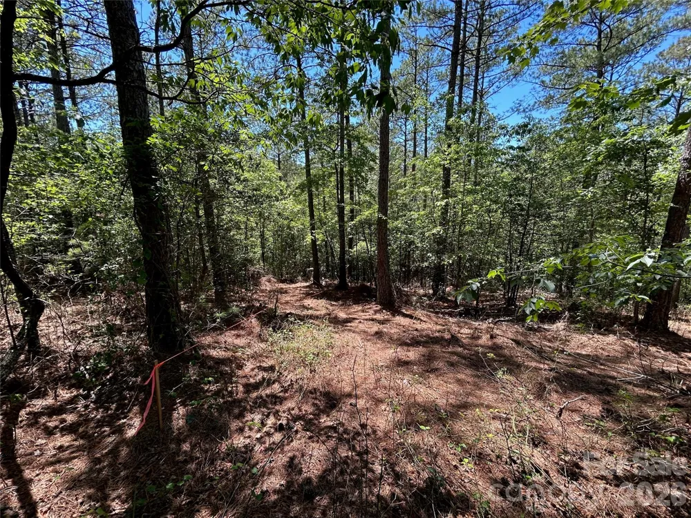 1175 HIDDEN COVE LANE Connelly Springs, NC 28612