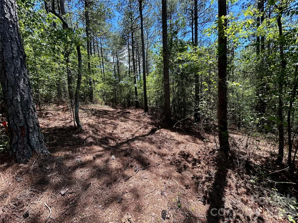 1175 HIDDEN COVE LANE Connelly Springs, NC 28612