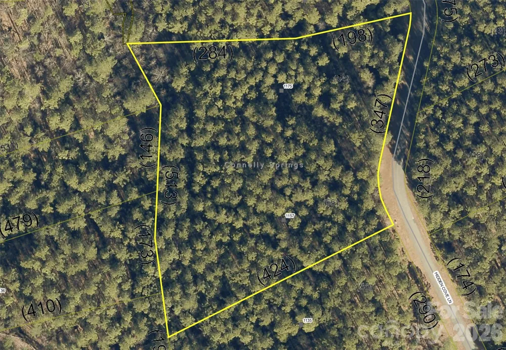 1175 HIDDEN COVE LANE Connelly Springs, NC 28612