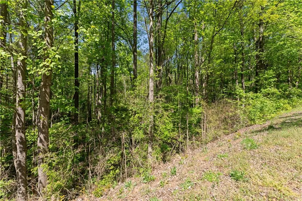 4272 Woods Bridge Road Commerce, GA 30529