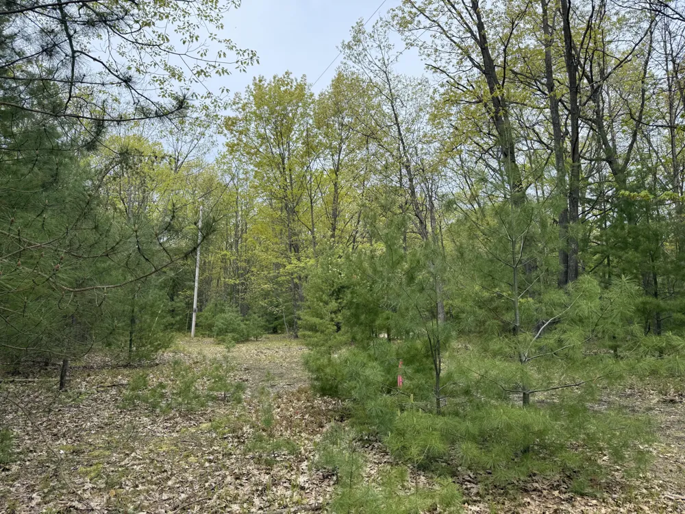 Critter Trail #Parcel C Manistee, MI 49660