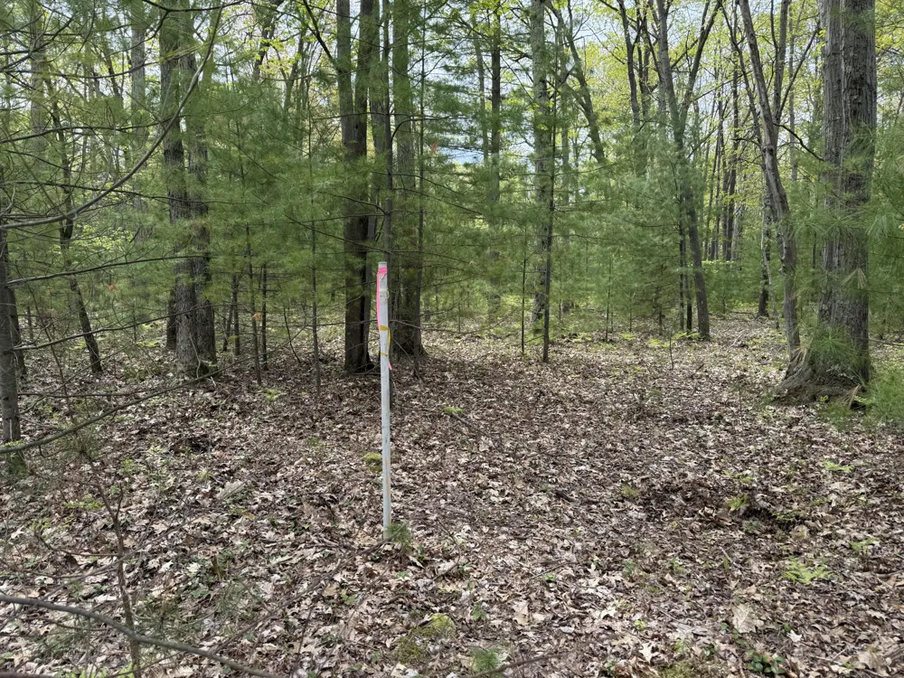 Critter Trail #Parcel C Manistee, MI 49660