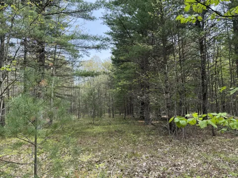 Critter Trail #Parcel C