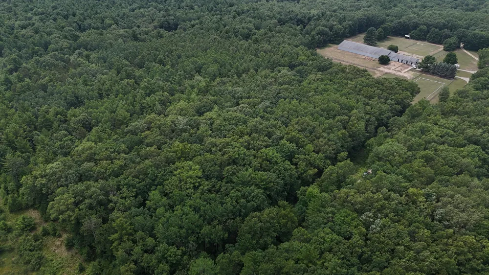 Critter Trail #Parcel C Manistee, MI 49660