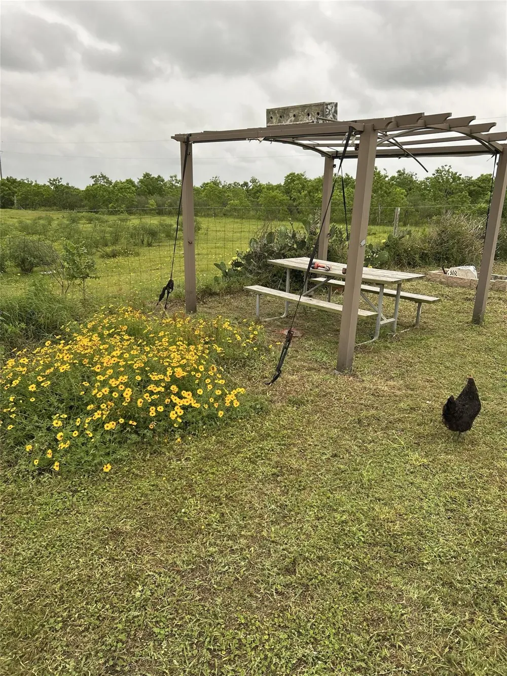 1206 Bahama Lane Port Bolivar, TX 77650