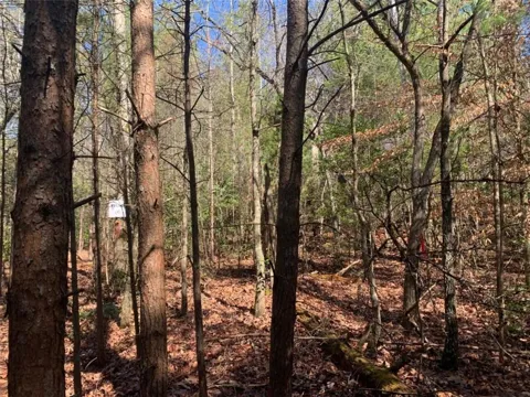 0 East New Hope Road