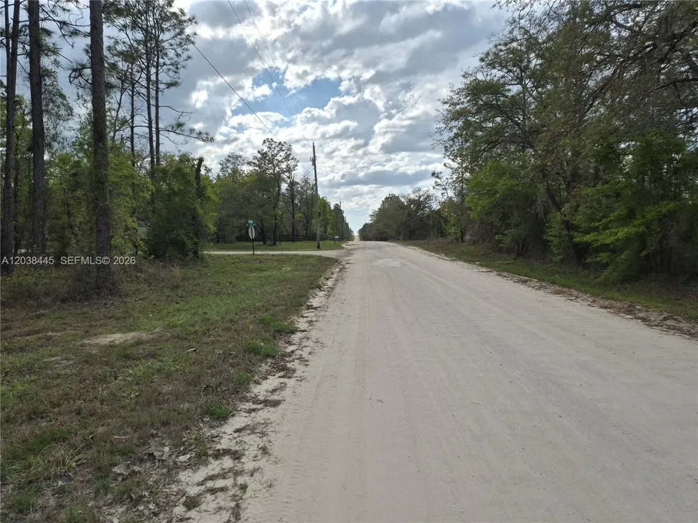 NE 4 ST Williston, FL 32696