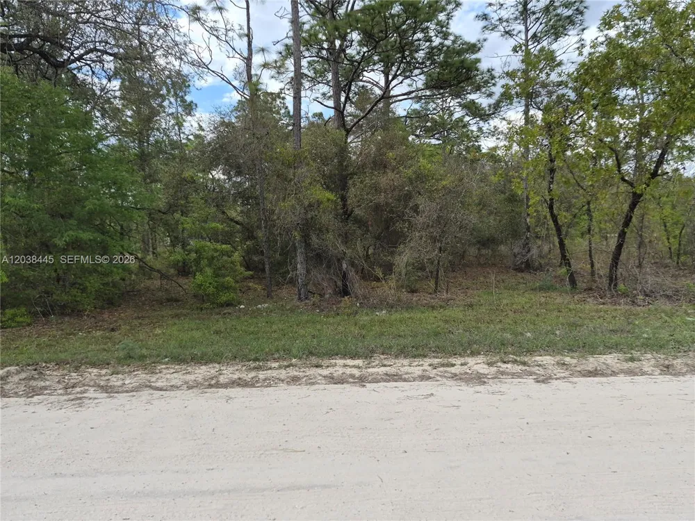 NE 4 ST Williston, FL 32696