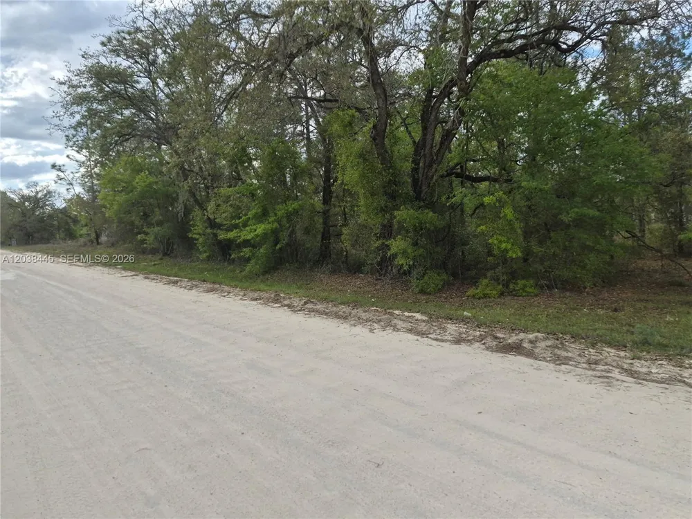 NE 4 ST Williston, FL 32696