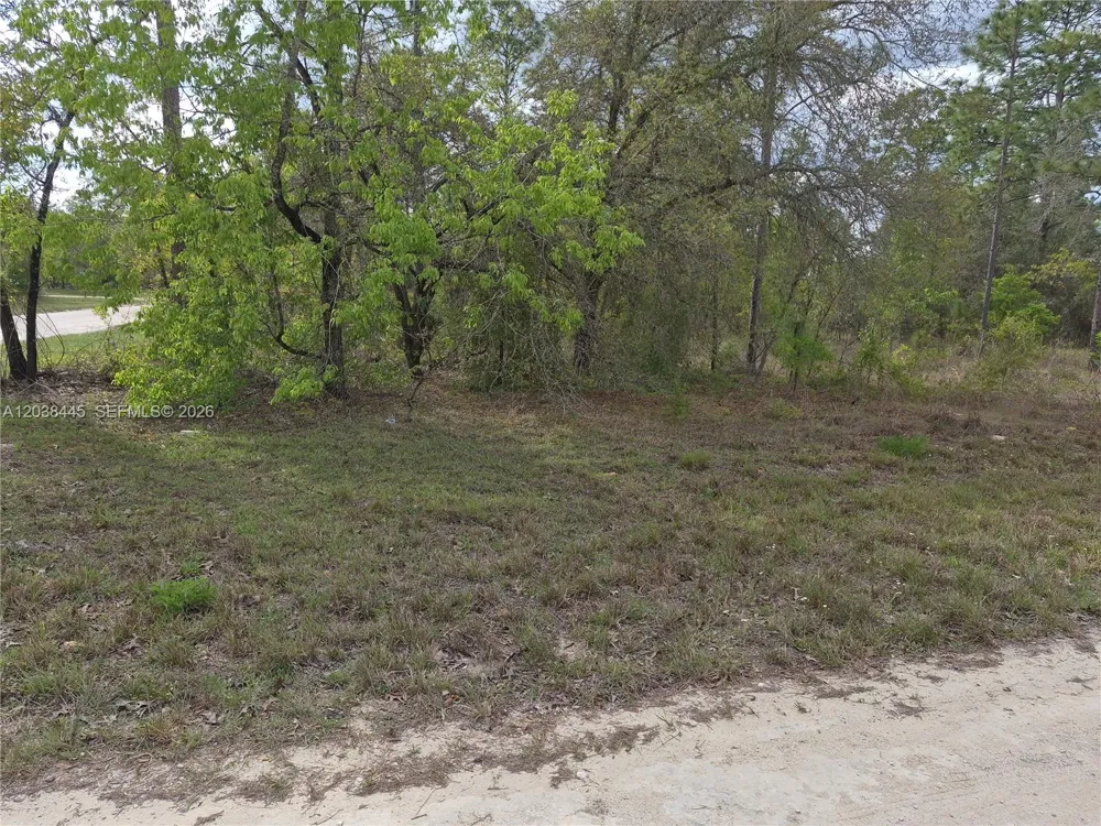 NE 4 ST Williston, FL 32696