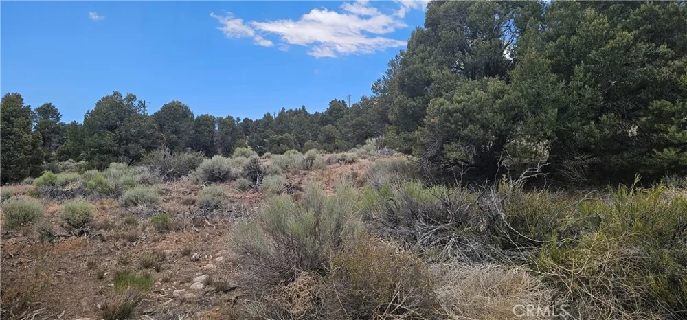 Baldwin Lake Road Big Bear City, CA 92314