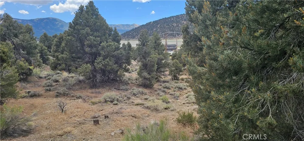 Baldwin Lake Road Big Bear City, CA 92314